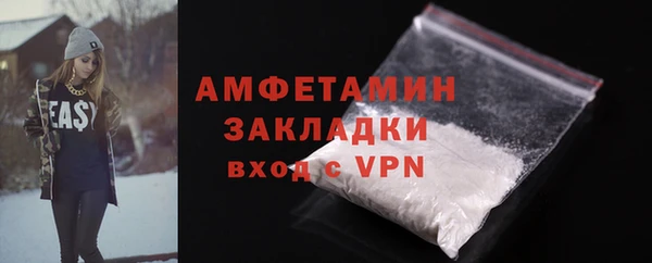 индика Надым
