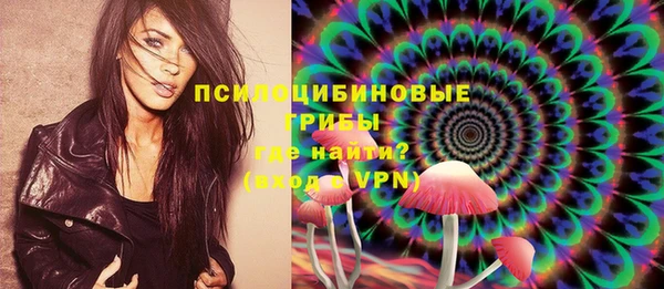 крисы Абдулино