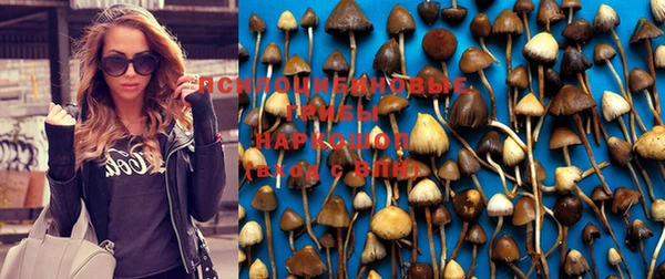 ГАЛЛЮЦИНОГЕННЫЕ ГРИБЫ Алексеевка