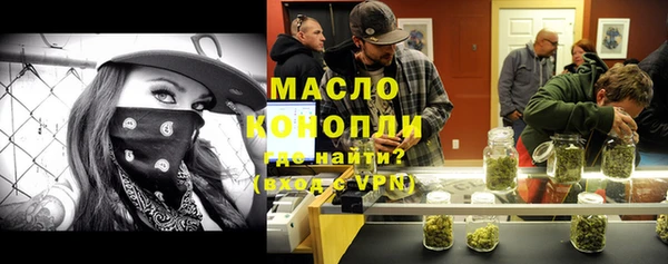 индика Надым