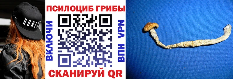 Псилоцибиновые грибы Magic Shrooms  Брюховецкая 